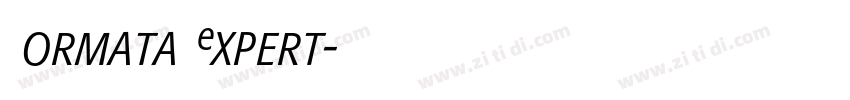 Formata Expert字体转换